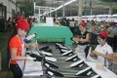 EuroCham opposes EU’s plan on Vietnam’s shoes