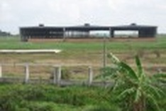 Vietnam’s biggest paper plant may be scrapped