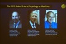 Trio win Nobel Medicine Prize for immune system research