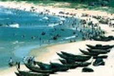 Visitors enjoy ‘queen of beaches' plus island and battle site tours