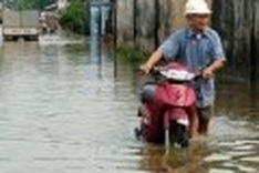 Vietnam, Netherlands cooperate in coping with climate change