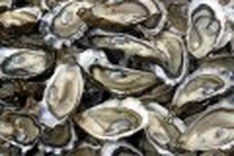 Certification boosts Vietnam’s oyster exports