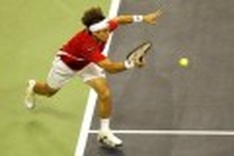 Ferrer beats Fish, Spain moves into David Cup semi