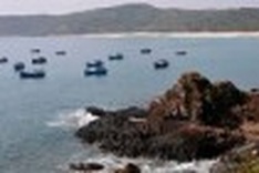 Diverse activities of the National Tourism Year