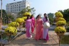 Phu My Hung Flower Festival adds color to HCM City