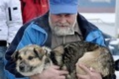 Dog drifts 75 miles on ice, rescued in Baltic Sea