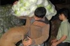 Migrant workers keep up a sweat for Tet
