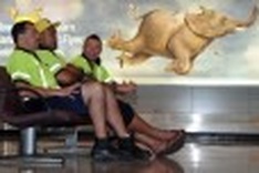 Strikes cost Qantas US$70 million: airline