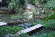 Rustic resort powerless to fully satisfy