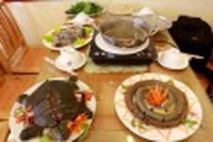 Campaign to take wild animals off the menu