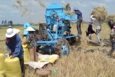 Vietnam says global warming threatens food supply