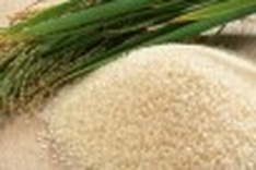 Rice export sets records in volume and value