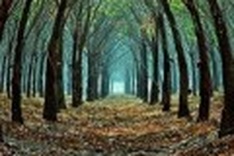 750,000 tonnes of rubber to be exported in 2010