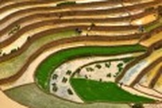 Beautiful Sapa ready for rice season