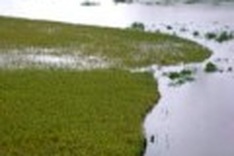 Netherlands helps Vietnam deal with climate change