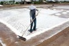 Salt producers abandon fields as prices and productivity fall
