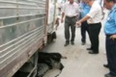 Vietnam city to use georadiation for detecting street sinkholes