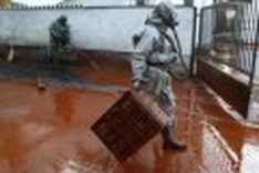 Hungarian eco-disaster offers cautionary tale to Vietnam