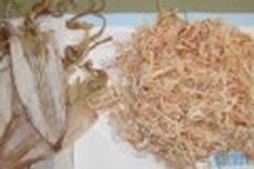 ‘Rubber’ cuttlefish incinerated in Hai Phong