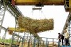 Vietnam exports 100,000 tonnes of sugar to China