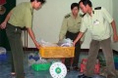 Authorities interrupt transport of rare snakes in Phu Yen Province