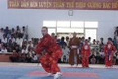 Martial artists celebrate Hanoi's birthday