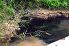 Dyeing factory caught red handed polluting environment