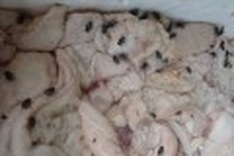 Massive amount of substandard meat heads to HCM City