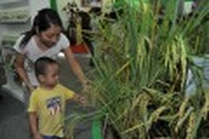 Exhibition on socio-economic achievements opens