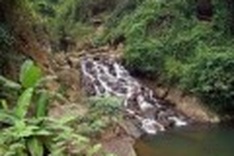 VN to attend int’l bio-safety conference next month