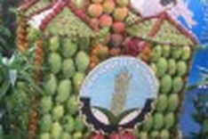 Vietnam looks to penetrate USA and Japan fruit market
