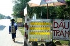 One commune in Central Vietnam is “Cajuput kingdom”