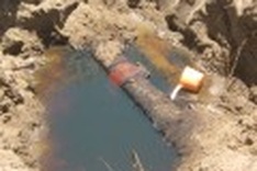 Oil spill causes frenzy among locals