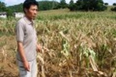 Drought devastates rural areas of Vietnam