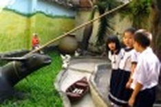 Agriculture enlivens primary schools