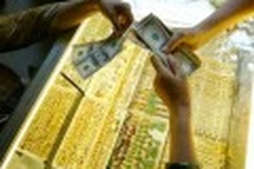 Vietnam tries to prevent dollarisation