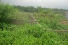 Hanoi Master Plan affects realty market