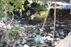 HCMC: Medical facilities discharge untreated waste into environment