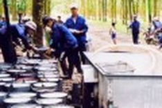 Increase in material exports changes Vietnamese market