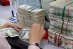 Government stands firm on USD speculation