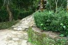 Hidden beauty of an old village