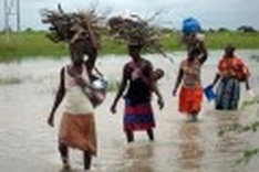 50 million 'environmental refugees' by 2020, experts say