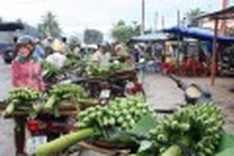 Banana markets flourishes in Khanh Hoa on Tet
