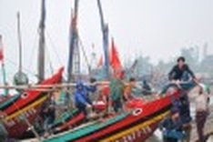 More fish, happier Tet