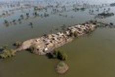 Climate change: Dogs of law are off the leash