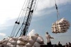 More enterprises allowed to export rice