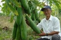 Farmer grows famous for giant crops