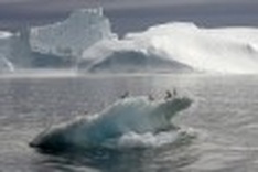 Global warming may devestate Europe's glaciers