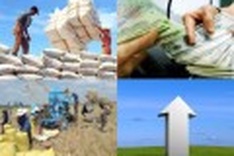 NA deputies: Macro-economic situation facing unstable factors