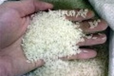 World has huge demand for Vietnam's rice